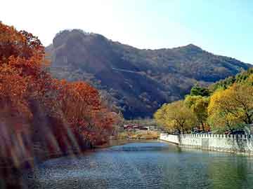 澳门二四六天天彩图库，鸵鸟瑶寨